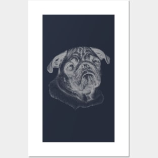 Pug (Grey) Posters and Art